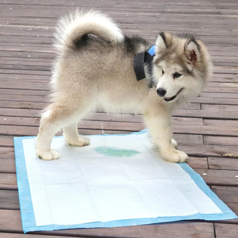 Disposable Pet Pads