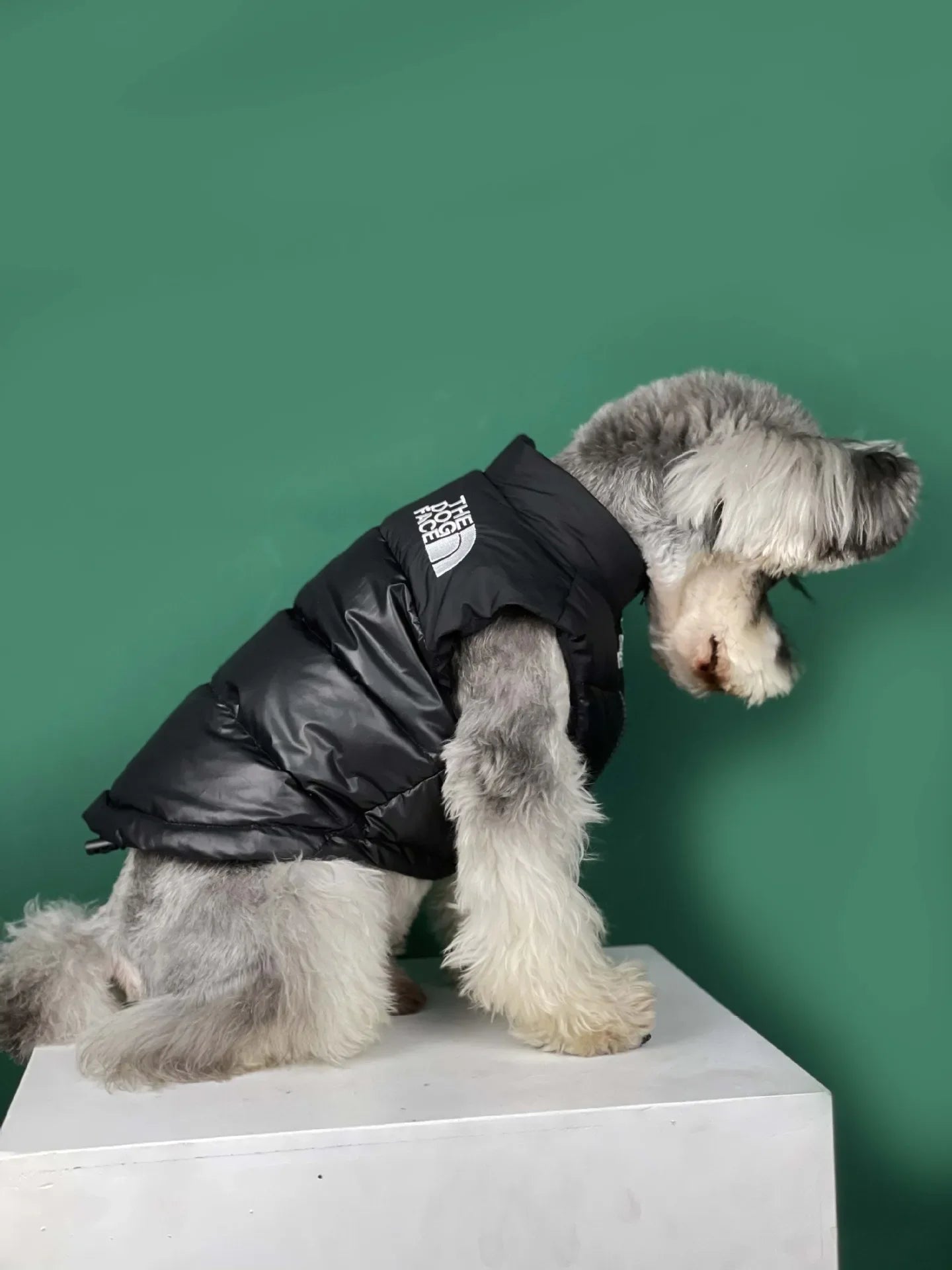 "The Dog Face" Pet Vest
