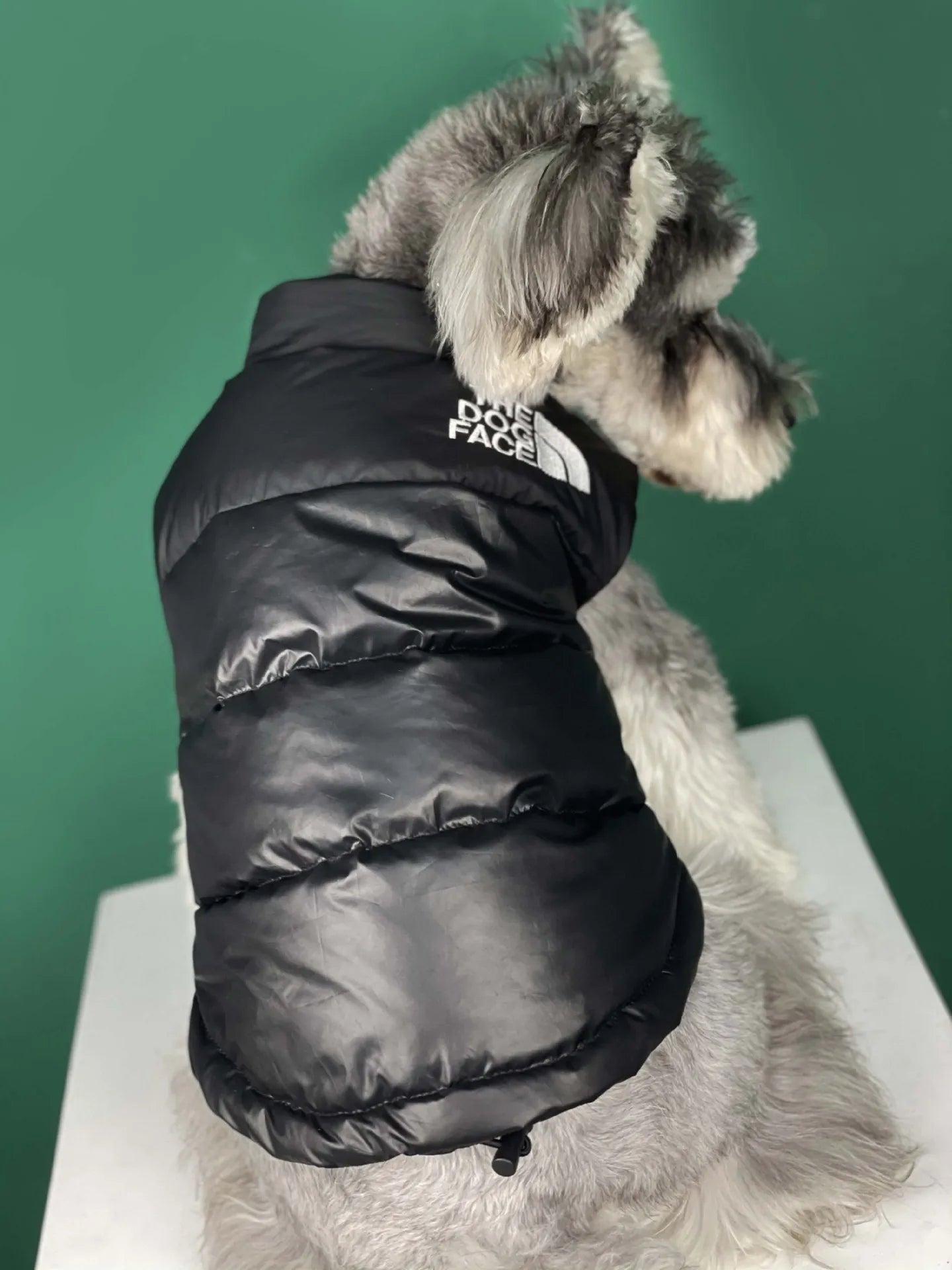 "The Dog Face" Pet Vest