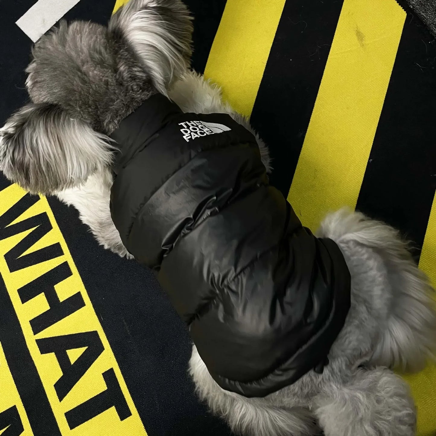 "The Dog Face" Pet Vest