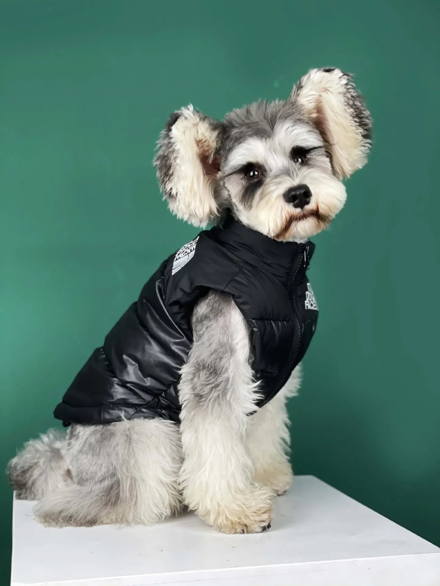 "The Dog Face" Pet Vest