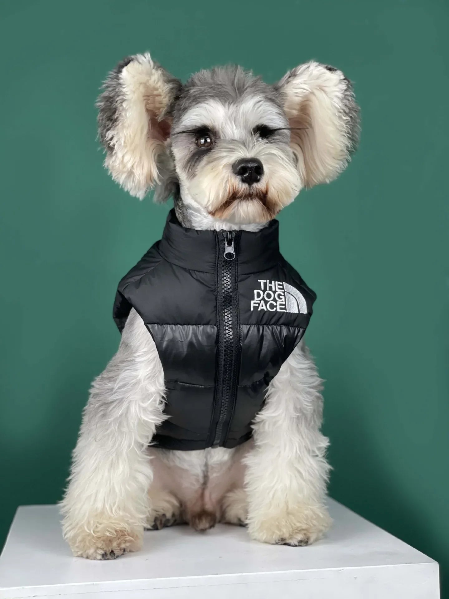 "The Dog Face" Pet Vest