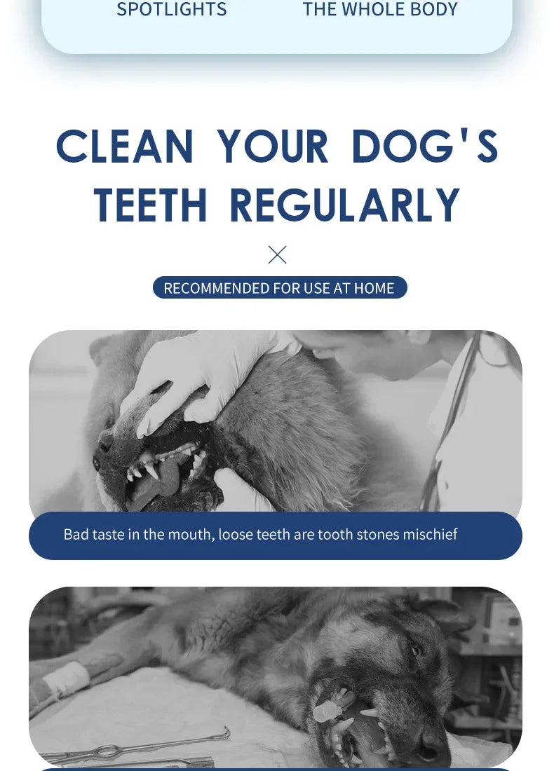Household Dog Toothbrush