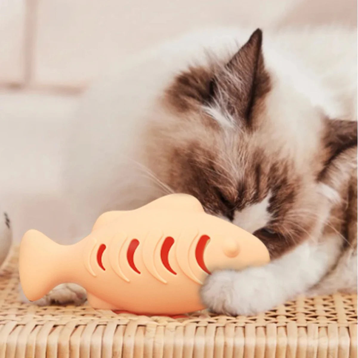 Interactive Cat Toy