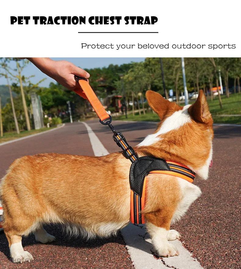 Pet Dog Harness and Leash
