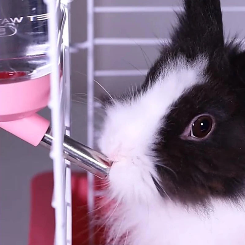 Pet Hamster Water Bottle