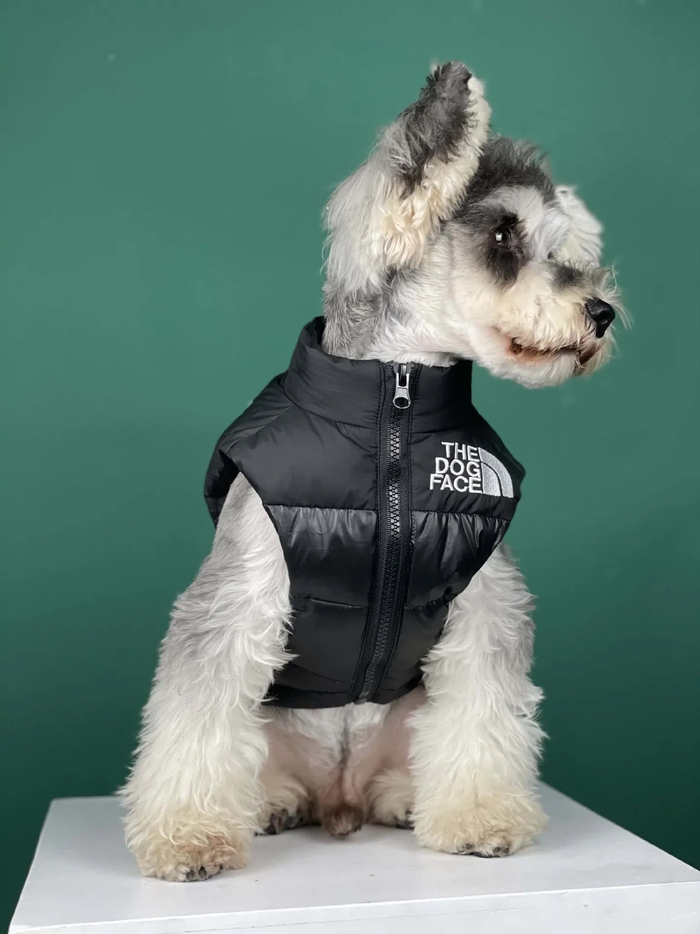 "The Dog Face" Pet Vest