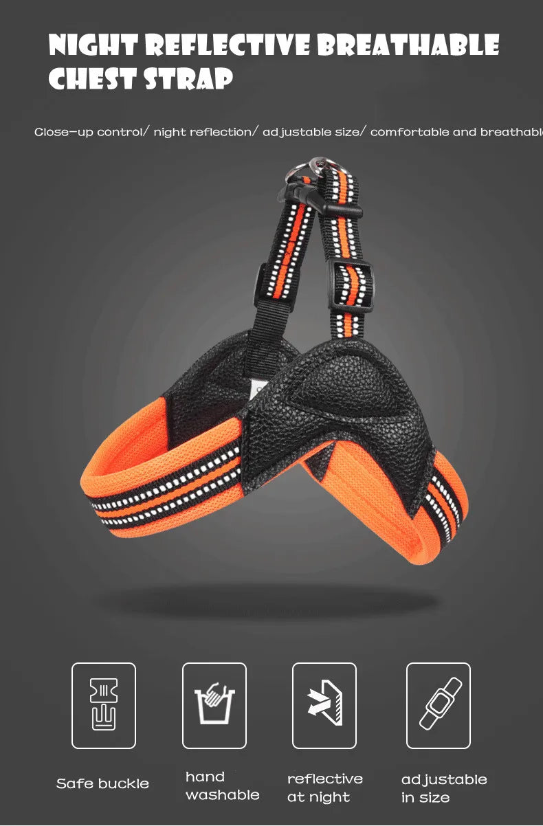 Pet Dog Harness and Leash