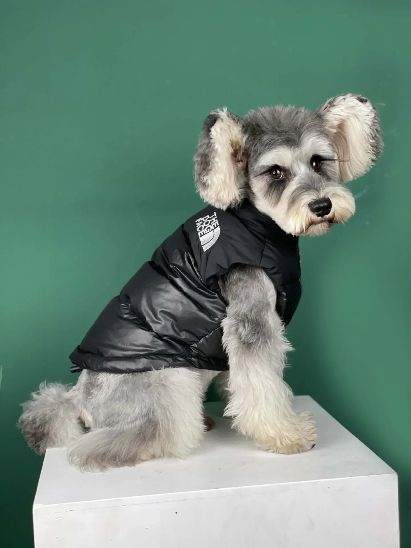 "The Dog Face" Pet Vest