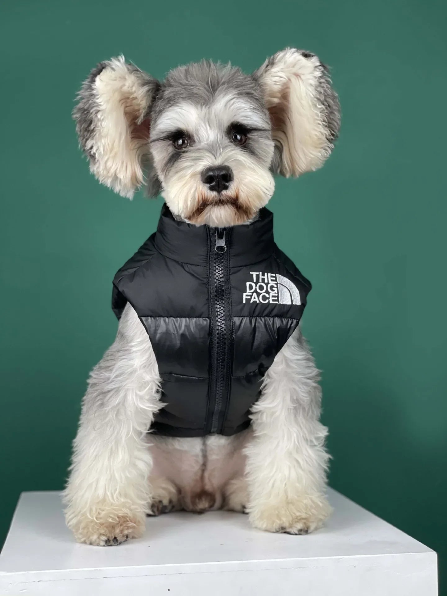 "The Dog Face" Pet Vest