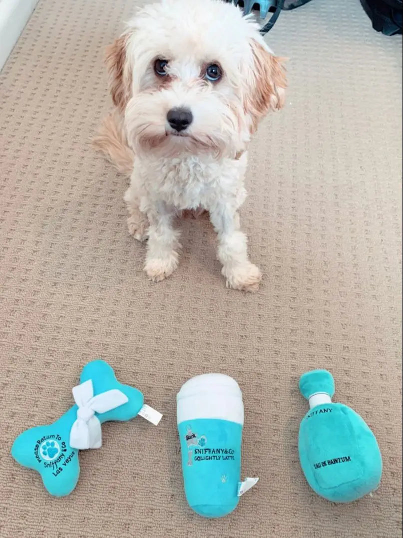 Squeaky Pet Toys