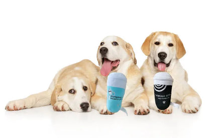 Squeaky Pet Toys