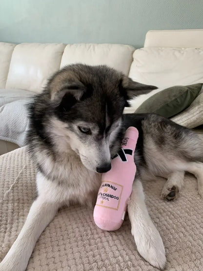 Squeaky Pet Toys