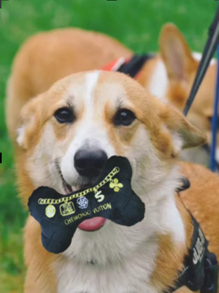 Squeaky Pet Toys