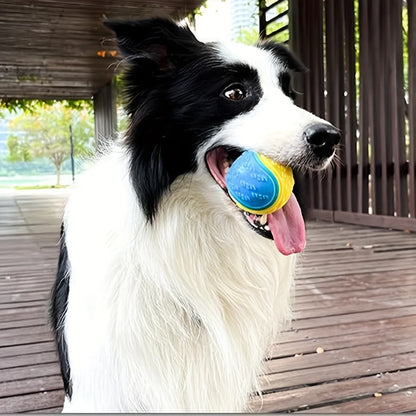 Pet Chew Toy