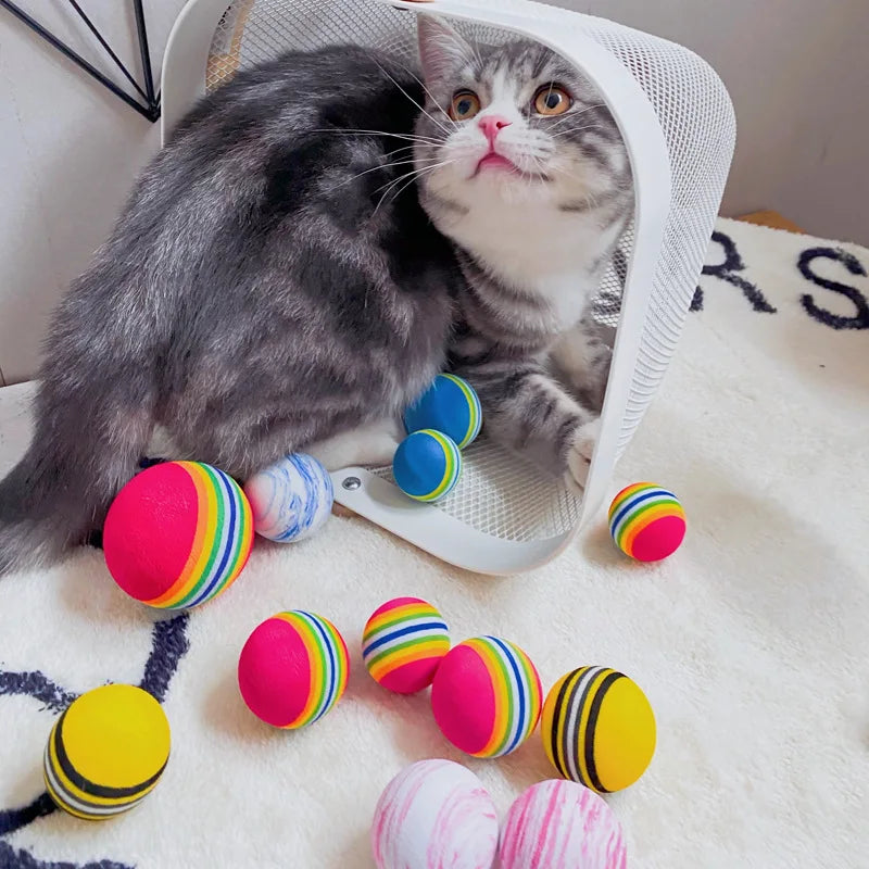 Colorful Pet Toy