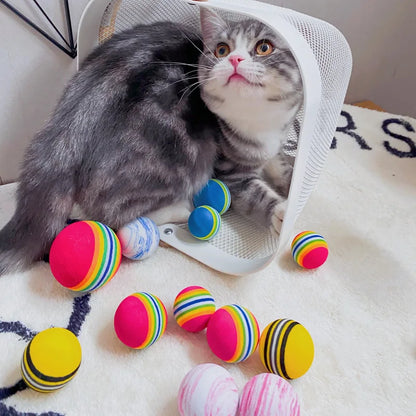 Colorful Pet Toy