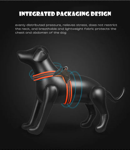 Pet Dog Harness and Leash
