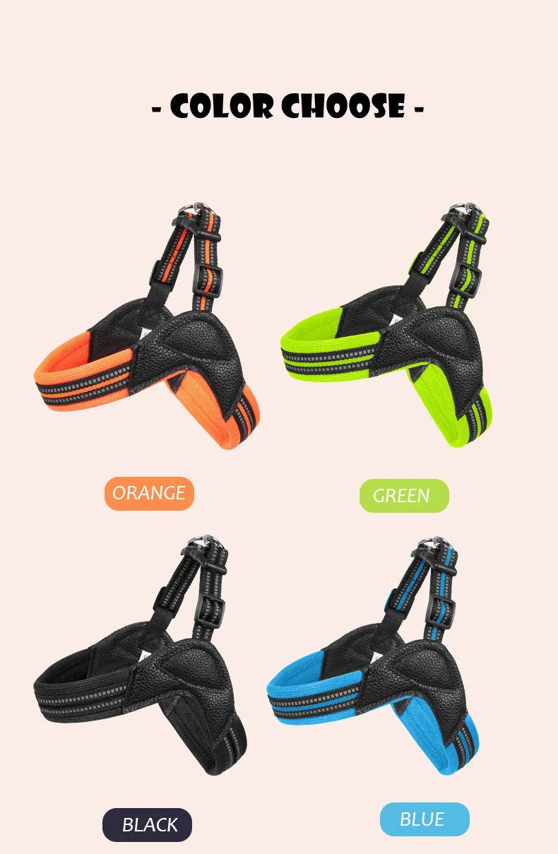 Pet Dog Harness and Leash