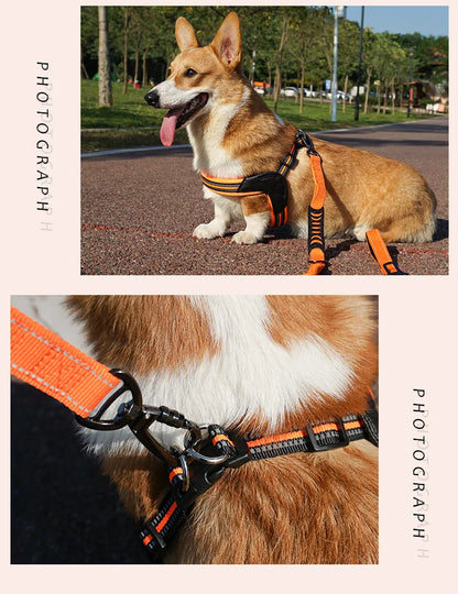Pet Dog Harness and Leash