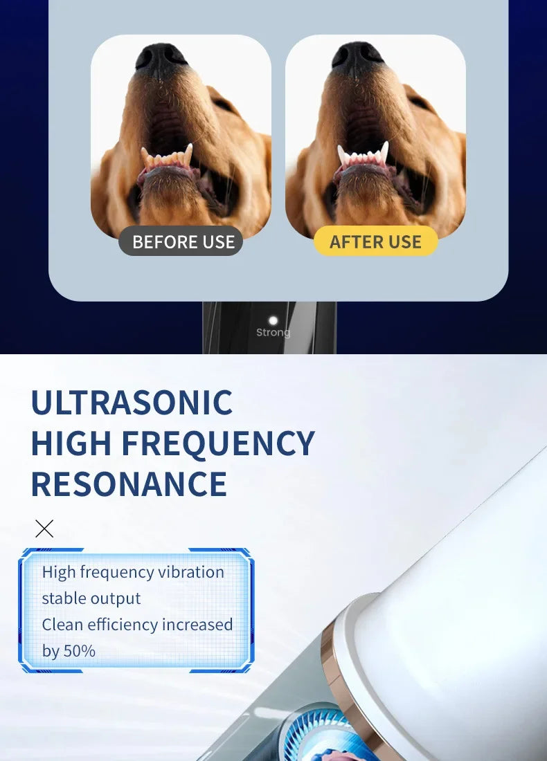 Household Dog Toothbrush
