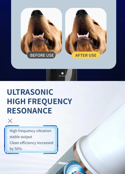 Household Dog Toothbrush