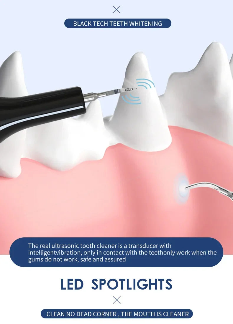 Household Dog Toothbrush