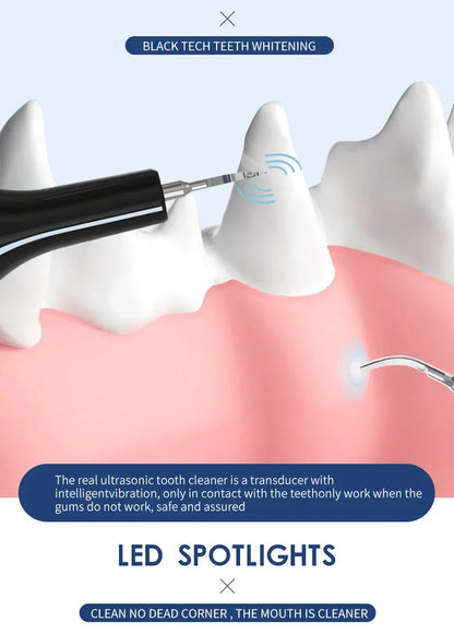 Household Dog Toothbrush