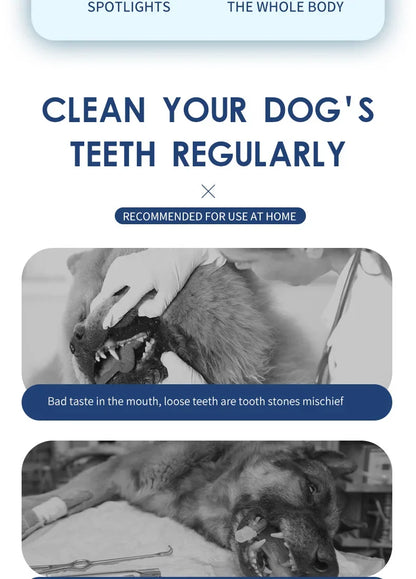 Household Dog Toothbrush