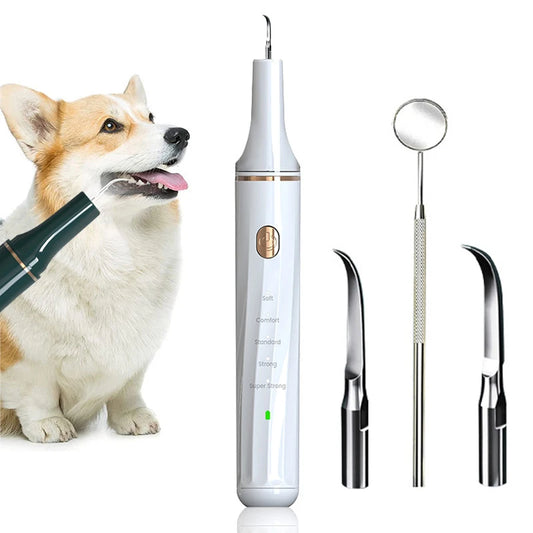 Household Dog Toothbrush