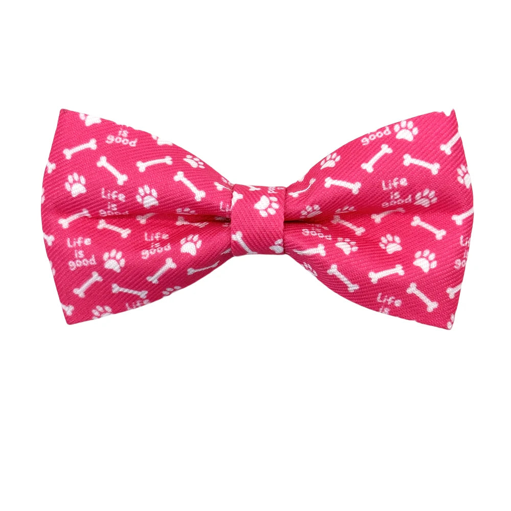 Pet Bowties 50 and 100-packs