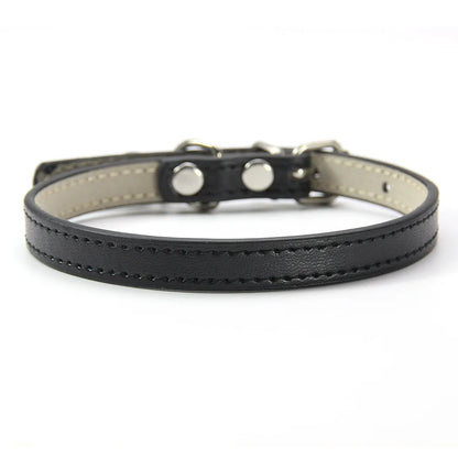 Pet Collar with Bell