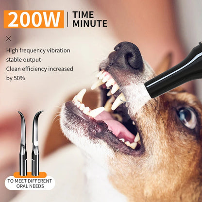 Household Dog Toothbrush