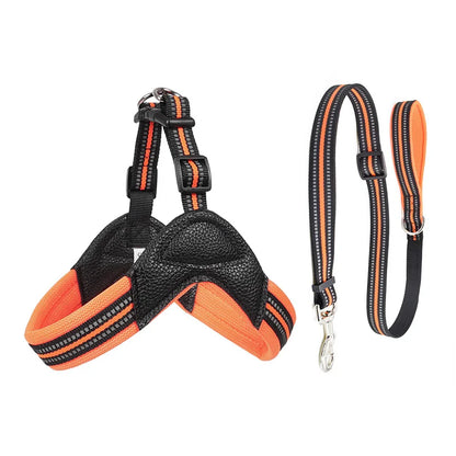 Pet Dog Harness and Leash