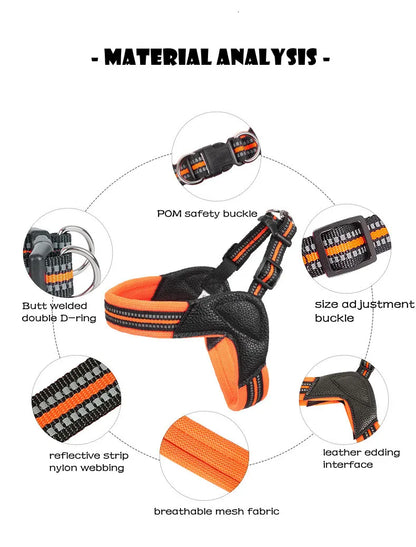 Pet Dog Harness and Leash