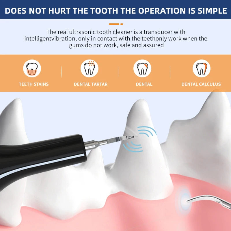 Household Dog Toothbrush