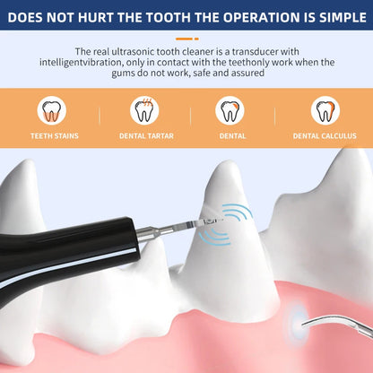 Household Dog Toothbrush