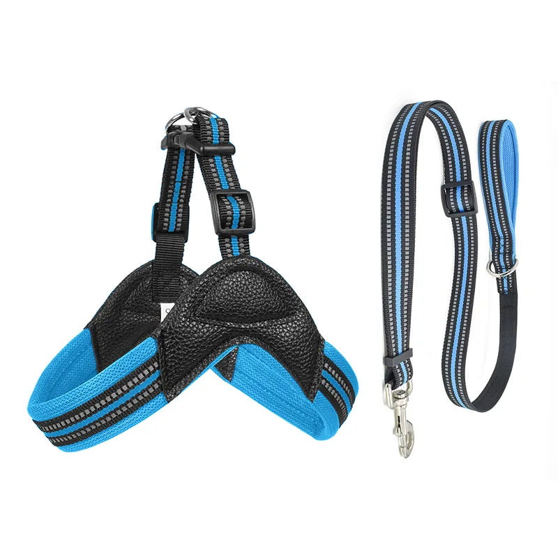 Pet Dog Harness and Leash