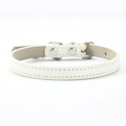 Pet Collar with Bell