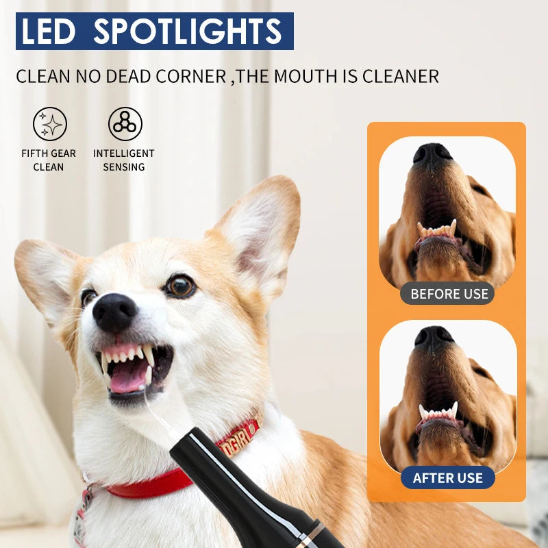 Household Dog Toothbrush