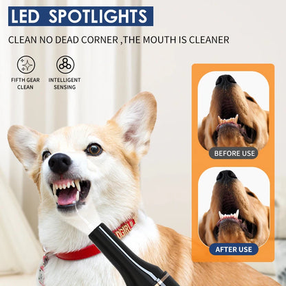 Household Dog Toothbrush
