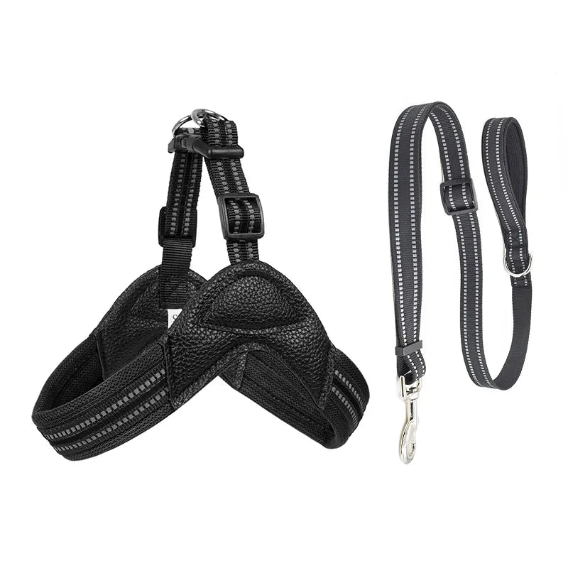 Pet Dog Harness and Leash
