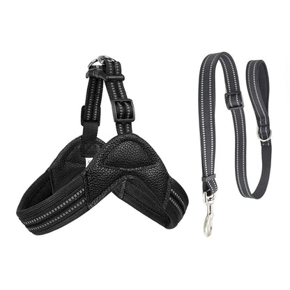 Pet Dog Harness and Leash