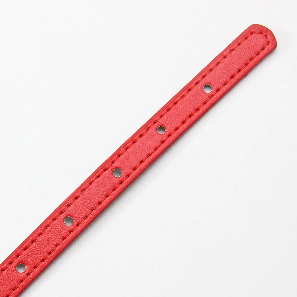 Pet Collar with Bell