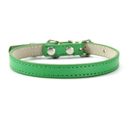 Pet Collar with Bell