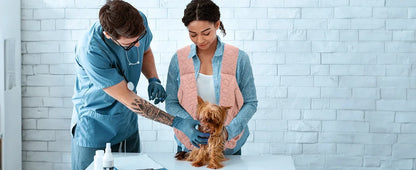 Pet Carrier