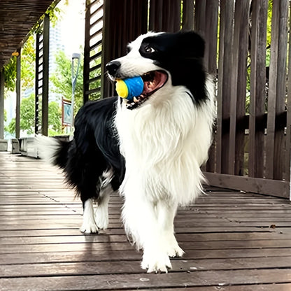 Pet Chew Toy