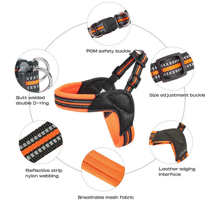 Pet Dog Harness and Leash