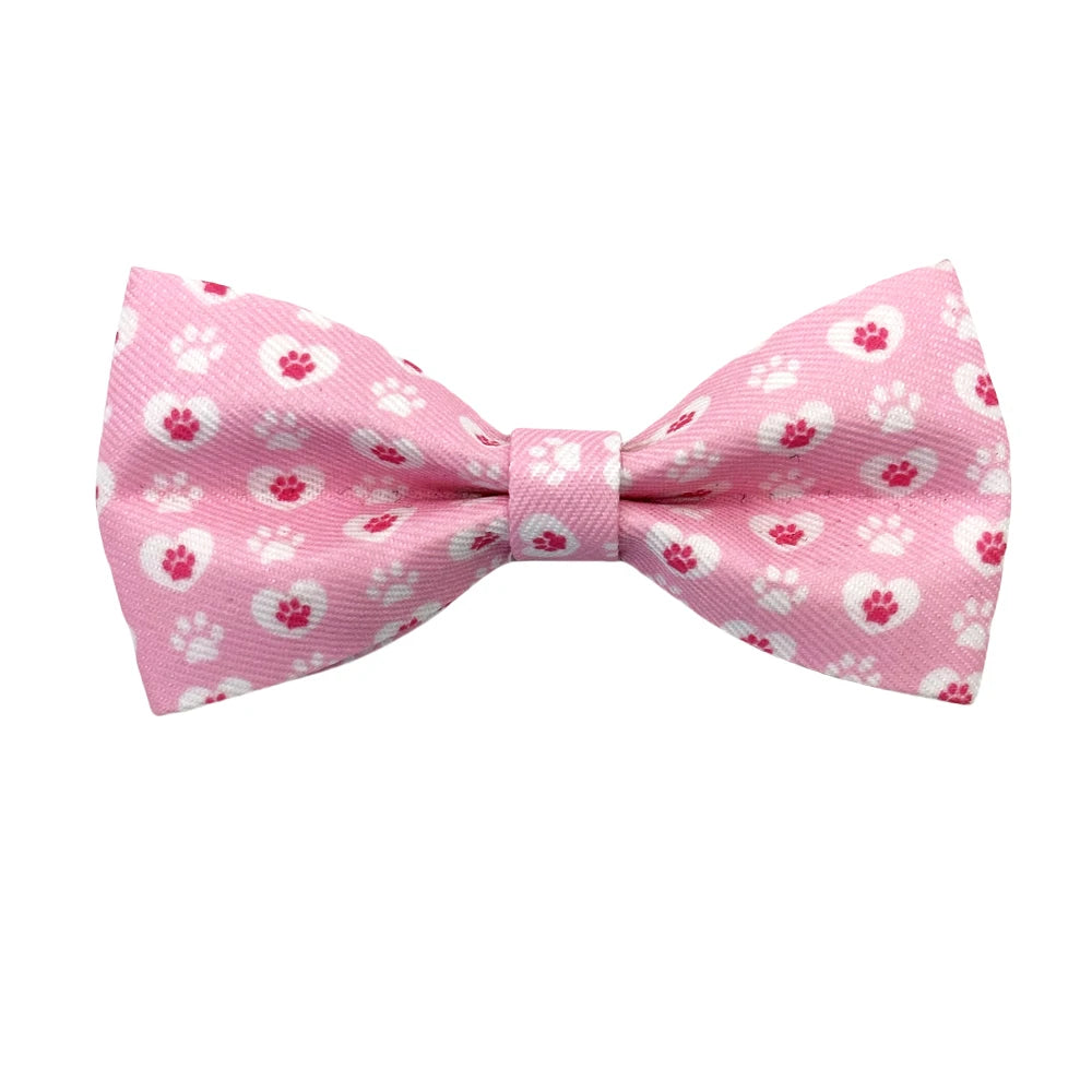 Pet Bowties 50 and 100-packs