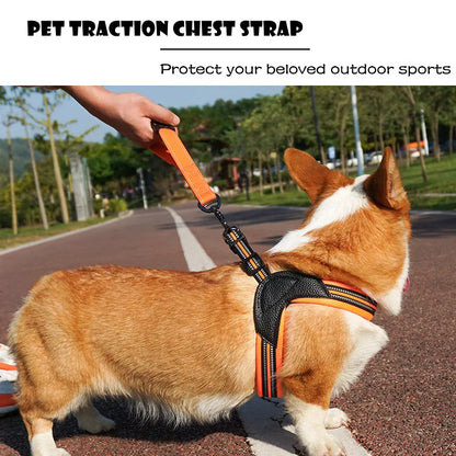 Pet Dog Harness and Leash